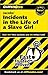 Incidents in the Life of a Slave Girl