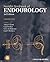Smith's Textbook of Endourology