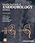 Smith's Textbook of Endourology