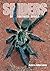 Spiders of Southern Africa