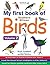 My First Book of Southern African Birds Volume 2 by Erroll Cuthbert