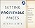 Setting Profitable Prices + Website: A Step-By-Step Guide to Pricing Strategy--Without Hiring a Consultant