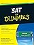 SAT for Dummies