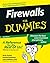 Firewalls for Dummies (For Dummies Computer/Technology)