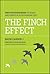The Finch Effect: The Five Strategies to Adapt and Thrive in Your Working Life