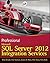 Professional Microsoft SQL Server 2012 Integration Services