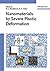 Nanomaterials by Severe Plastic Deformation