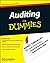 Auditing for Dummies