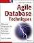 Agile Database Techniques: Effective Strategies for the Agile Software Developer