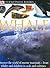 Whale (DK Eyewitness Books)