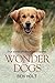 Wonder Dogs