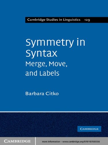 Symmetry in Syntax: Merge, Move and Labels (Cambridge Studies in Linguistics Book 129)