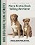 Nova Scotia Duck Tolling Retriever: Special Rare-Breed Edition: A Comprehensive Owner's Guide