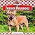 French Bulldogs (Dogs, 10)