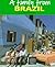 A Family from Brazil