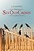 Six Old Crows