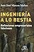 Ingenieria a lo Bestia- Reflexiones Empresariales Fabulosas