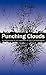 Punching Clouds: An Introduction to the Complexity of Public Decision-Making
