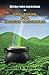 Shirker John Leprechaun: The Quest For Dragon Treasure (Shirker John Chronicles)