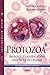 Protozoa: Biology, Classifi...