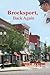 Brocksport, Back Again by Janice Ernest