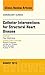 Catheter Interventions for Structural Heart Disease, An Issue... by Ray Matthews MD