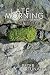 Late Morning: New and Selec...