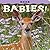 Deer Babies! (Babies! (Farcountry Press))