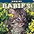 Bobcat Babies! (Babies! (Farcountry Press))