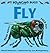 Fly