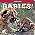Sierra Babies! (Babies! (Farcountry Press))