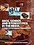 Race, Gender, and Stereotypes in the Media: A Reader for Professional Communicators (Revised Edition)
