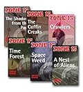 Zone 13 Reading Books: Set Three
