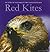 The Story of Tiggywinkles' First Encounters with Red Kites by Les Stocker