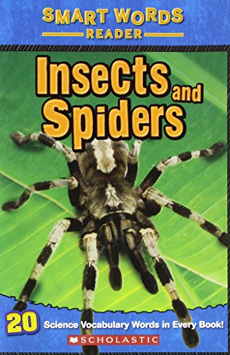 Insects and Spiders (Paperback)