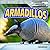 Armadillos (Awesome Armored Animals)