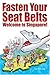 Fasten Your Seat Belts: Welcome to Singapore