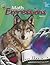 Math Expressions, Volume 2