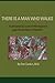 There Is a Man Who Walks: A Personal Account of Montagnard Guerrilla Warfare in Vietnam