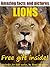 Lion Facts and Photos (Animals for Kids)