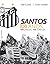 Santos 100 Anos by Odir Cunha