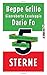 5 Sterne - über Demokratie, Italien und die Zukunft Europas