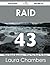 Raid 43 Success Secrets - 43 Most Asked Questions on Raid - W... by Laura Chambers