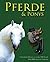 Pferde und Ponys