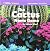National Geographic Science 1-2 (Life Science by Unknown