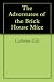The Adventures of the Brick House Mice by Catherine Ellis