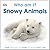 Who Am I? Snowy Animals