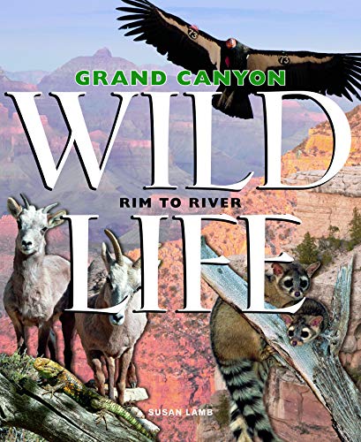 Grand Canyon Wildlife Rim to River (Hardcover)