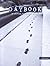 Great Source Daybooks: Student Edition Review Grade 9 2008