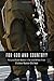 For God and Country?: Religious Student-Soldiers in the Israel Defense Forces (Binah Yitzrit Foundation Series in Israel Studies)
